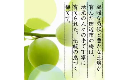 【先行予約】 青梅【紀州南高梅】 3kg（2026年5月～6月以降順次発送予定） / 生梅 梅干し 梅酒 梅ジャム 梅シロップ 産地直送 国産 和歌山 【tcs021】