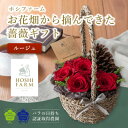 【ふるさと納税】ホシファーム　『お花畑から摘んできた薔薇ギフト』ルージュ【配送不可地域：離島・北海道・沖縄県】【1465210】