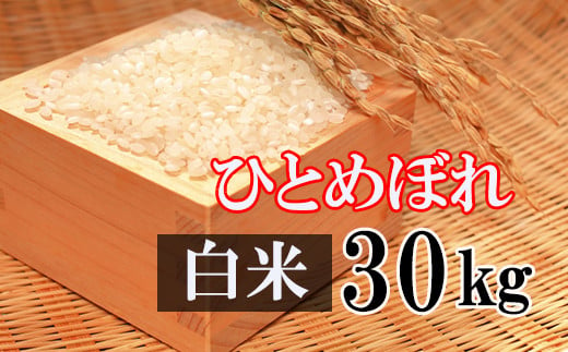 
            【2024年11月発送開始】 令和6年産 新米 ひとめぼれ 精米 30kg （10kg×3袋） ／ 白米 産地直送 岩手県産 【かきのうえ】
          