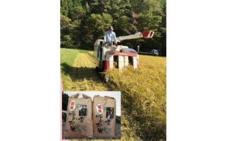 【令和7年度新米】八百津で採れたコシヒカリ！　5kg