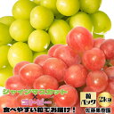 【ふるさと納税】【粒でお届け！】白ぶどう(シャインマスカット)＆赤ぶどう(コトピー) 2kg以上 (約500g×4パック) 《佐藤果樹園》■2025年発送■※9月下旬頃～11月上旬頃まで順次発送予定 果物 フルーツ ぶどう ブドウ 葡萄 先行予約 期間限定 数量限定 食べ比べ