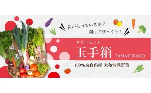 
大和情熱野菜【玉手箱】 約5kg （ 13～18種類 ）
