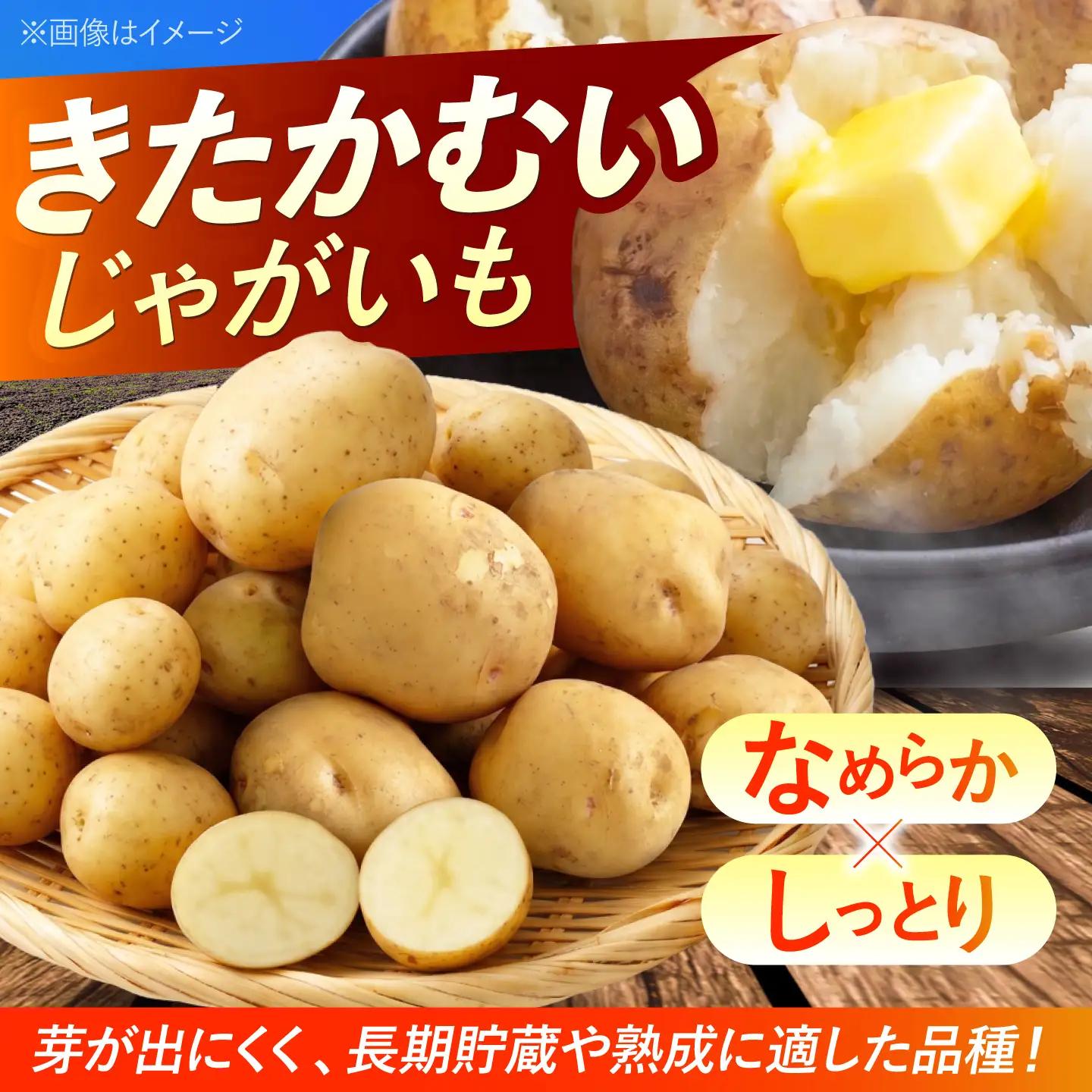 【2027年1月上旬以降順次発送】 じゃがいも きたかむい 5kg | じゃがいも ジャガイモ きたかむい 野菜 季節の野菜 北海道 産地直送 先行予約 | 株式会社Aコープようてい[BPAT007]