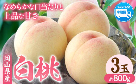 【2025年先行予約】岡山県産 白桃 内容量 3玉（約800g） クール便 晴れの国 おかやま館(フルーツランド岡山) 《7月上旬-8月中旬頃出荷》岡山県 浅口市 白桃 桃【配送不可地域あり】（離島）