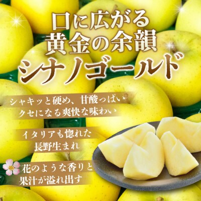 【27年4月から順次発送】平均糖度13度以上! シナノゴールド 約5kg おもてなし用  クール便【配送不可地域：離島・沖縄県】