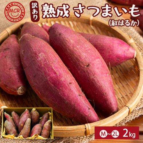 【2027年1月以降発送】 【訳あり】 舞鶴産 熟成さつまいも 2kg （紅はるか） 無選別 M～2L混合 | サツマイモ 完熟 越冬 熟成 焼き芋用 ねっとり 高糖度 無農薬 スイーツ 蜜芋 キュアリング 秋収穫 保存食 京都 舞鶴