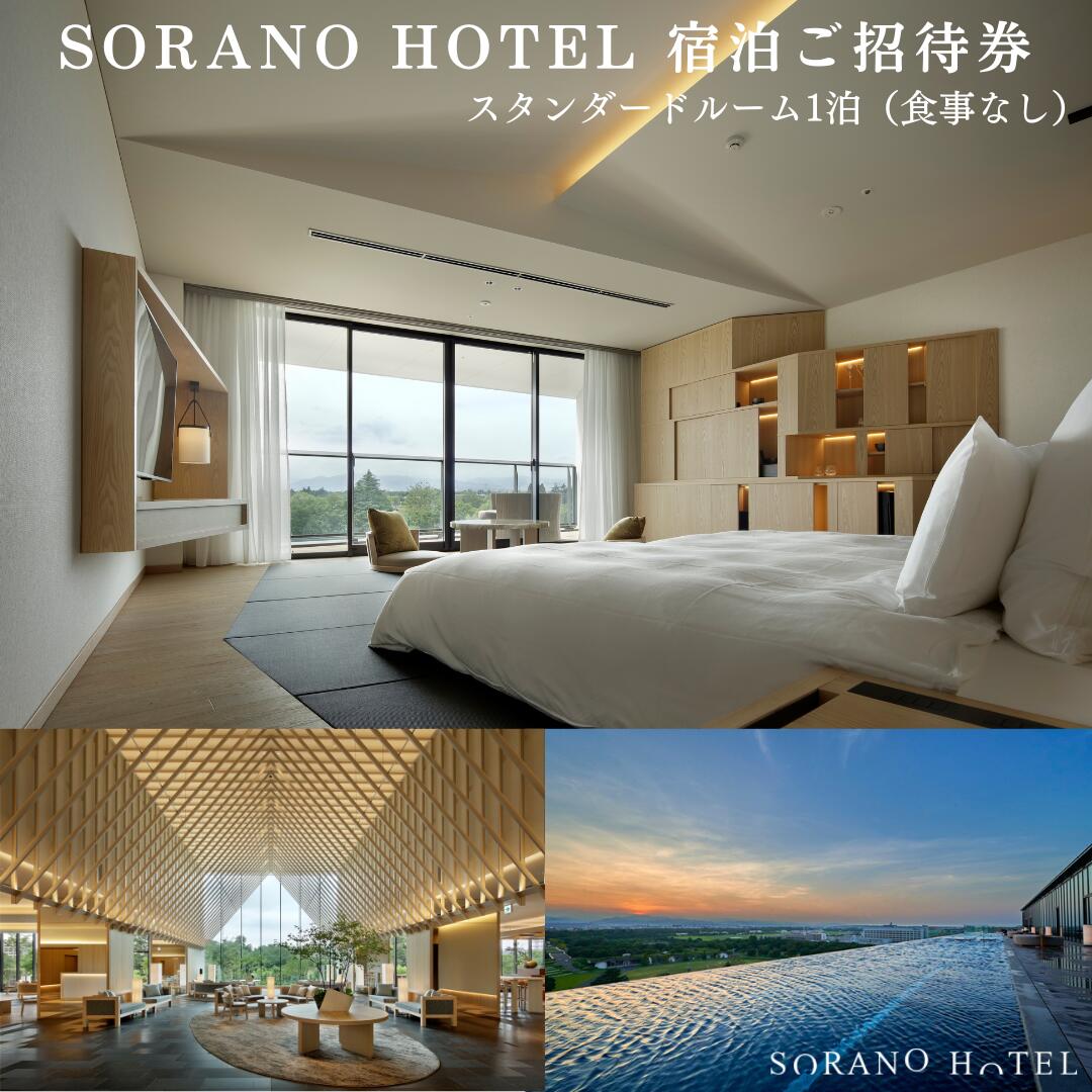 【ふるさと納税】ソラノホテル SORANO HOTEL 宿泊券 インフィニティプール 素泊まり 立川