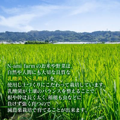 ふるさと納税 西都市 【令和7年産新米・先行受付】ひのひかり 5kg　※10月中旬以降順次発送予定　精米済み [2592] |  | 02