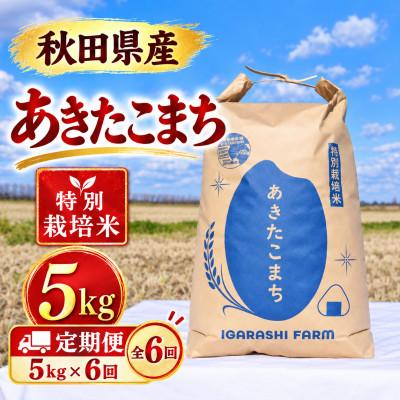 ふるさと納税 大潟村 【毎月定期便】特別栽培米 あきたこまち 白米 5kg全6回