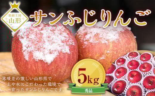 サンふじりんご 5kg (約16～20玉) ギフト箱入り 山形県産 《2025年11月中旬から発送開始》  りんご リンゴ 林檎 デザート フルーツ 果物 くだもの 果実 食品 山形県 FSY-0196