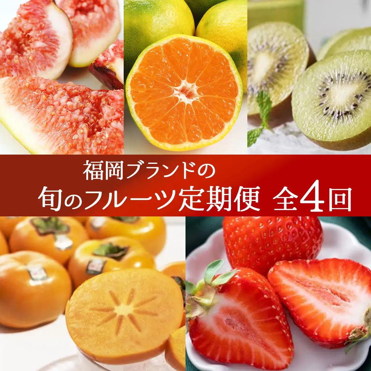 ＜4回定期便＞福岡ブランドの旬のフルーツ定期便 (篠栗町)｜イチジク ミカン キウイ 柿 イチゴ【NF020】