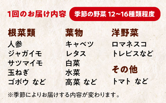 【全6回定期便】【シェフの目線】栽培期間中農薬不使用！大満足 旬のお野菜セット　愛媛県大洲市/有限会社ヒロファミリーフーズ [AGBX004]野菜 サラダ カレー 農業 トマト 料理  きゅうり 鍋 