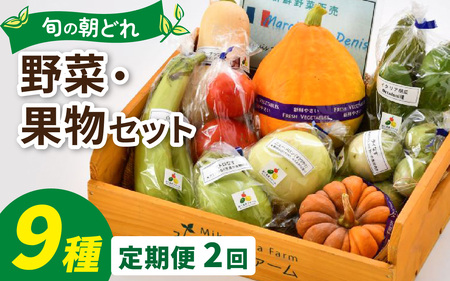 【定期便２回】朝どれ 旬な野菜 果物セット 9種類セット【お届け対象月 5月,8月,11月】農薬・化学肥料不使用