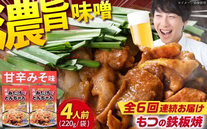 
                  【6回定期便】岐阜県産豚もつの鉄板焼き「元祖みたけとんちゃん」甘辛みそ味（4人前） / モツ もつ 白もつ ホルモン / 御嵩町 / 藤よし [AVAA019]
                