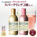 【ふるさと納税】プティモンテリア スパークリング 2種 飲み比べ 290ml 6本入 モンデ酒造 缶ワイン ワイン 白 ロゼ 酒 お酒 贈答 ギフト 晩酌 宅飲み 家飲み キャンプ BBQ バーベキュー パーティー 送料無料 山梨県 笛吹市 10000円 無地熨斗 177-4-036