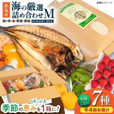 ふるさと納税 糸島市 【全4回定期便】糸島産 魚 米 野菜 果物 厳選詰め合わせ Mサイズ [AOP005]