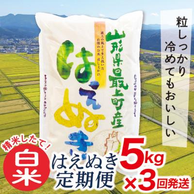 ふるさと納税 最上町 【毎月定期便】買い忘れなしで美味しいはえぬき5kg(白米)が届く全3回