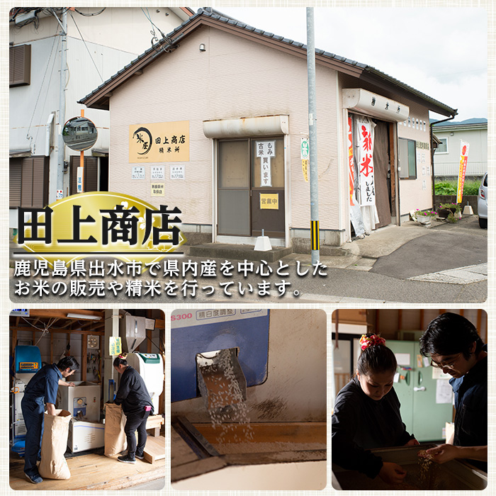 i1118-A 《数量限定》鹿児島県出水市産あきのまい＜計6kg(3kg×2袋)＞ 米 お米 6kg 白米 あきのまい 自家精米 精米 自家脱穀 脱穀 おにぎり ごはん お米マイスター 厳選 【田上商