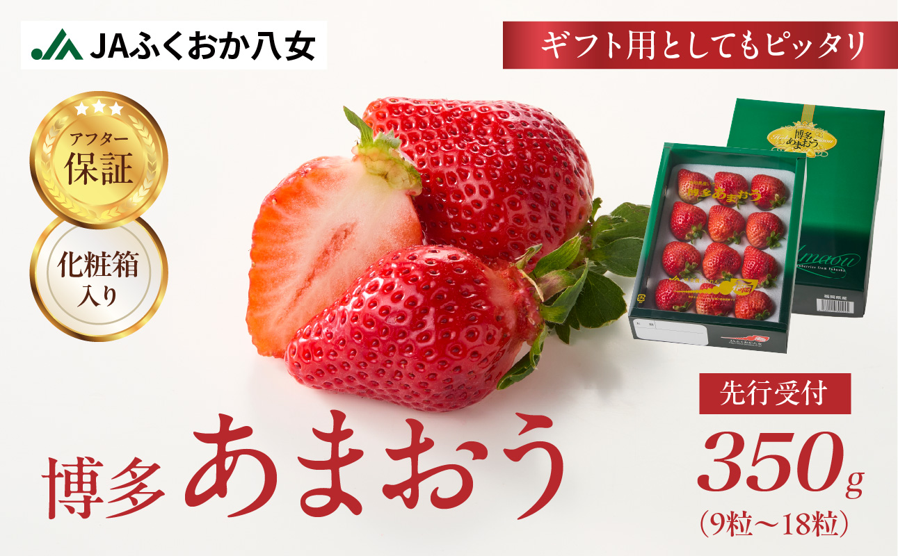先行受付【2025年12月発送開始】博多あまおう350g（化粧箱）｜ＪＡふくおか八女 あまおう いちご 苺 イチゴ フルーツ 果物 くだもの 人気  旬 福岡県産 アフター補償 ギフト 化粧箱入り 贈答品 プレゼント 贈り物 数量限定 期間限定 産地直送 デラックス 福岡県 八女市