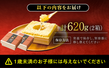 【先行受付 令和6年7月より発送】極巣みつ 620g (310g×2個) 蜂蜜 はちみつ コムハニー 極上 濃厚 広川町 / 株式会社九州蜂の子本舗[AFAI008]