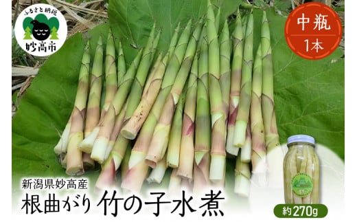 妙高産根曲がり竹の子水煮【中瓶】 270g 瓶詰 たけのこ タケノコ 和食 煮物 常温保存可 新潟県 妙高市