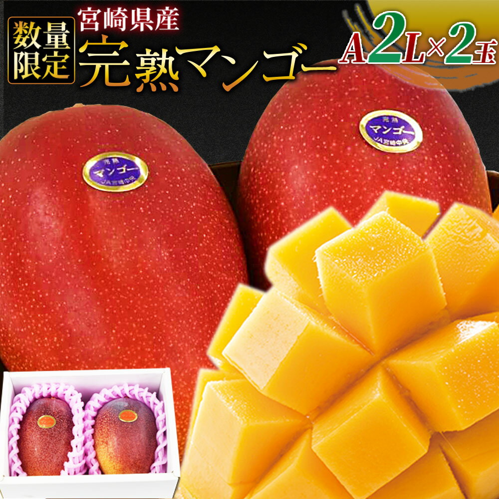 【ふるさと納税】数量限定【2026年発送】＜宮崎県産 完熟マンゴー A等級 2Lサイズ×2玉（合計約700g）＞※入金確認後、2026年4月上旬～6月末迄に順次出荷 果物 フルーツ ギフト 贈り物 贈答用 季節限定 JAみやざき 宮崎県 国富町【冷蔵】