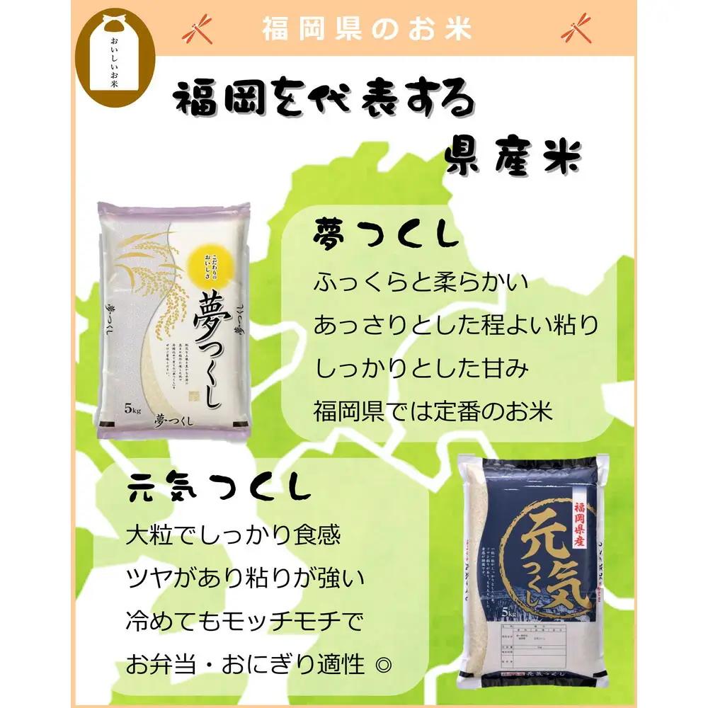 福岡県産 元気つくし 5kg (5kg×1袋) (令和7年産)