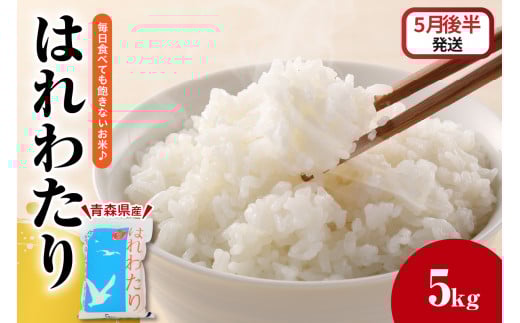 米 5kg はれわたり 白米 精米 青森 【2025年5月後半発送】五所川原 JA 農協 お米 コメ ごはん 飯