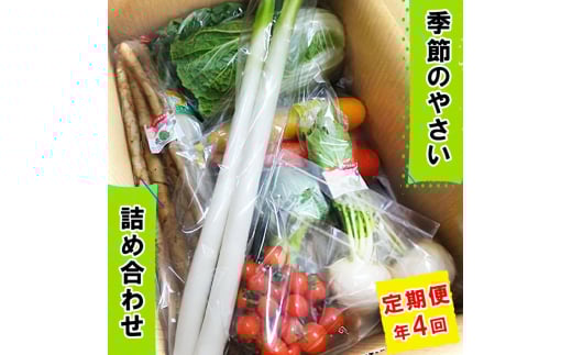 [定期便／年4回] 袖ケ浦市の大地のめぐみ 季節のやさい詰め合わせ｜野菜 直送  [0135ch]