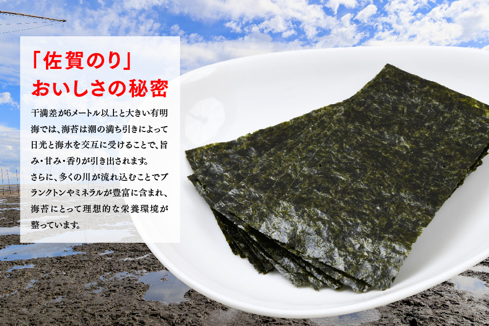 【佐賀海苔 有明海産】おかずのり(8切6枚×4袋×8個)【佐賀県産 海苔 国産海苔 味付け海苔 ご飯のお供 お弁当 おやつ おつまみ 個包装 老舗】(H119103)