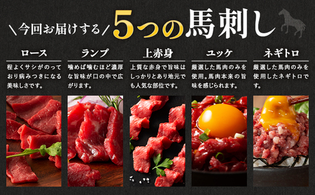 フジチクオリジナル ふじ馬刺し 藤彩牛 の 贅沢食べ比べセット 計 890g 道の駅竜北  熊本県 氷川町 肉 牛肉 馬肉 馬刺し 国産 赤身 上赤身 ロース ランプ 馬 セット 食べ比べ バラ カル