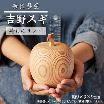 【ふるさと納税】吉野杉　癒しのリンゴ　1個【1421363】
