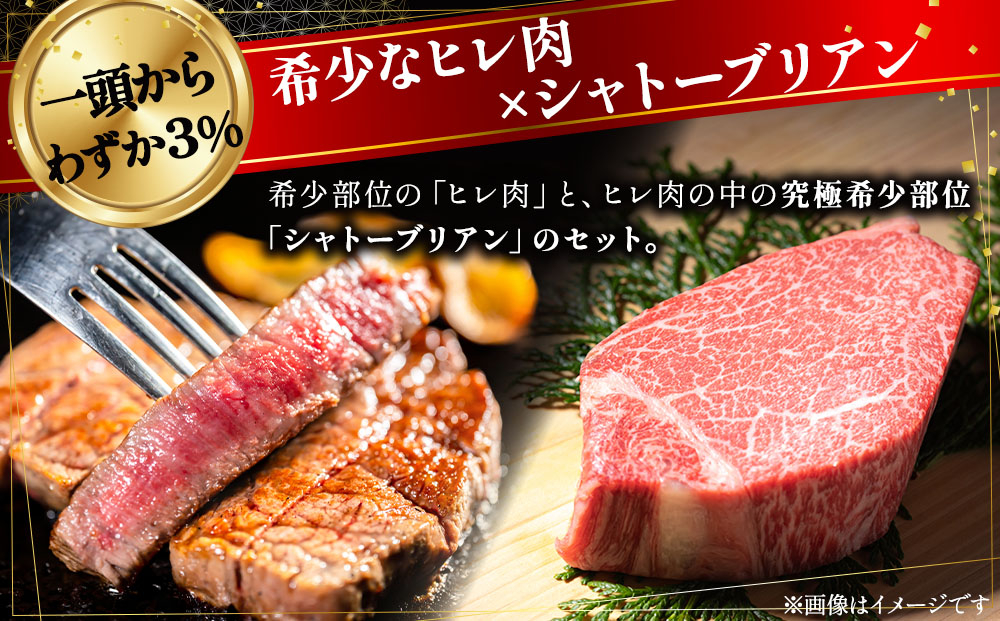 博多和牛シャトーブリアン250g×1枚+ヒレステーキ150g×2枚 | 博多和牛 シャトーブリアン ステーキ 焼肉用 牛肉 国産牛 和牛 焼肉 ギフト お取り寄せ セット 冷凍 グルメ 高級 人気 九