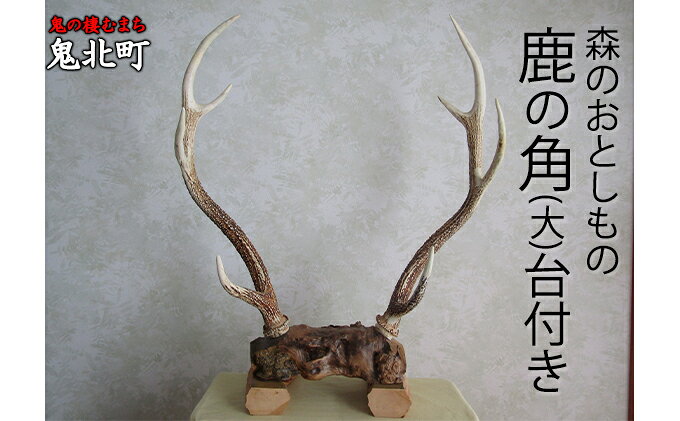 【ふるさと納税】森のおとしもの(5)鹿の角（大）台付き＜インテリア 民芸品 工芸品 オブジェ 角 鹿 しか シカ 愛媛県 鬼北町＞