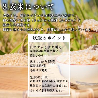 ふるさと納税 矢吹町 【R7年産先行受付】玄米 農家直送 ベルライスファームの天のつぶ 20kg |  | 03