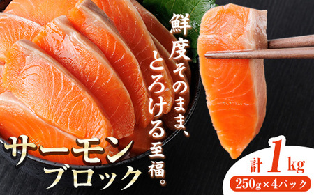 生食用 サーモン ブロック(計1kg・250g×4P) 鮭 小分け 真空 パック 冷凍 刺身 シャケ サケ 魚 魚介 【AW-100】【丸正水産】