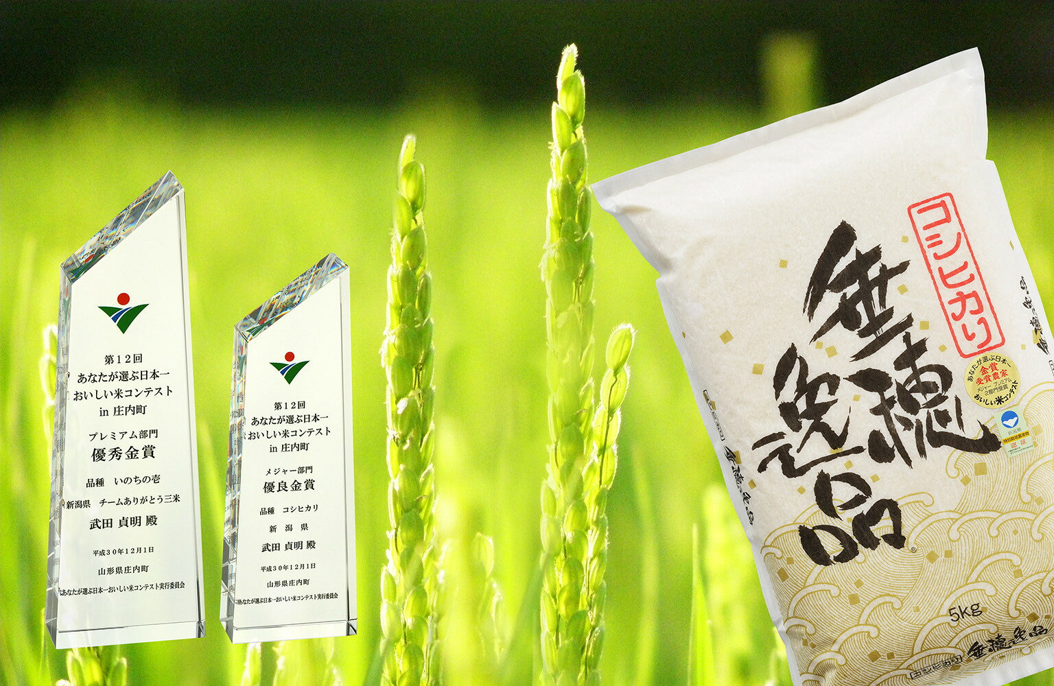 【ふるさと納税】【令和7年産】コシヒカリ 白米10kg × 3か月定期便 お米コンテストで金賞、武田農園の情熱米コシヒカリ