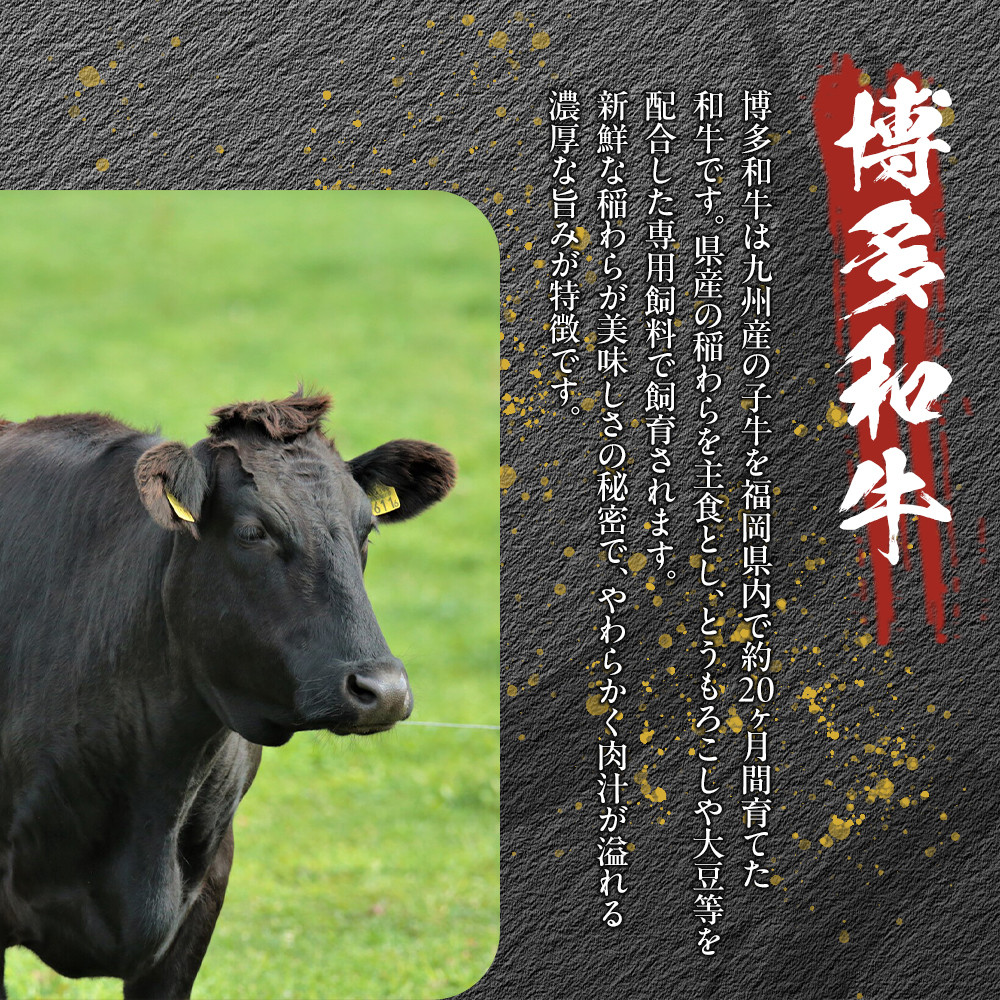 博多和牛切り落とし 1000g（500g×2p）