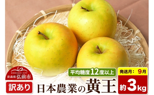 【26年9月クール便発送】りんご 黄王【訳あり】約3kg 平均糖度12度以上 青森県産 果物 フルーツ 林檎 リンゴ くだもの 不揃い 規格外 [家庭用 産地直送 アップル 青森県 弘前市] [u9]