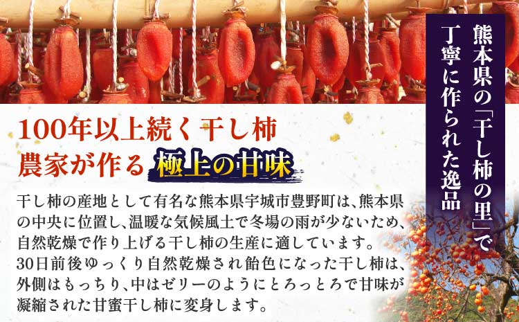 先行予約 干し柿 200g×4パック 合計800g 2025年12月中旬から2026年2月上旬頃発送予定 干柿 柿 ドライフルーツ 自然食品 伝統食 お茶菓子 九州産 熊本県産 宇城市産
