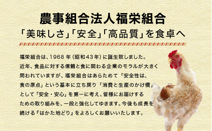 はかた地どり唐揚げ（冷凍） 6袋　CV010