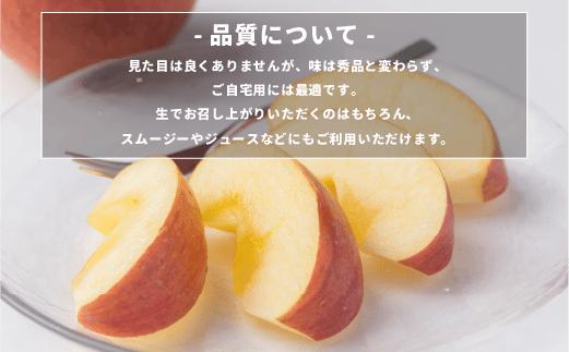 りんご ５Kg 【令和６年度先行予約】 果物 サンふじ 訳あり 長野 感謝りんご 交換保証 規格外 家庭用 傷あり ５キロ (12～25玉)  R6年12月～R7年１月末発送 長野県 飯綱町 [121