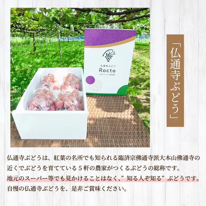 【先行受付】厳選！旬のぶどう詰め合わせ約1kg（2房） 2026年9月上旬から順次発送 種なし シャインマスカット 品種 農園おまかせ ピオーネ BKシードレス 安芸クイーン クイーンニーナ スカーレ