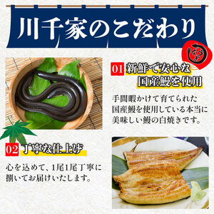 鰻白焼 2尾 うなぎ 【 鰻 】