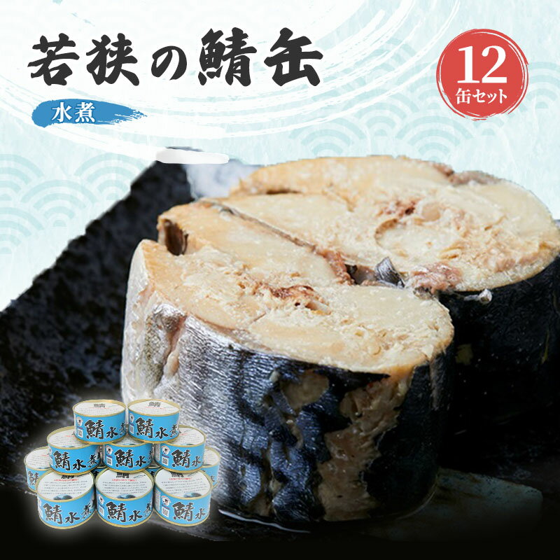 【ふるさと納税】サバ缶 水煮 3缶/6缶/12缶/24缶 セット 選べる 缶詰 サバ水煮 サバ水煮缶 さば おかず 惣菜 常温保存 備蓄