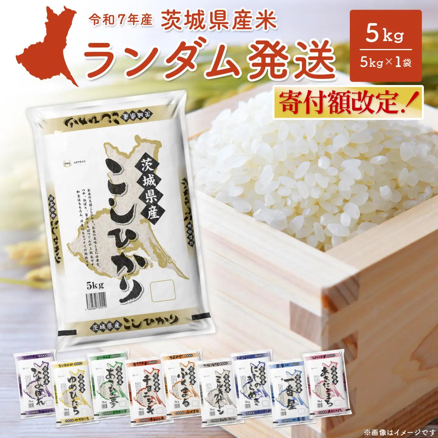 白米 7月内発送 ランダム 5kg 茨城県産 令和7年産 米 K2464
