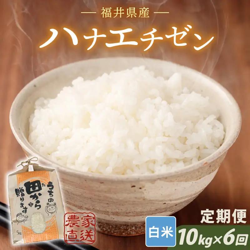 【令和8年産・新米】定期便 ≪6ヶ月連続お届け≫ ハナエチゼン10kg×6回 計60kg ～本原農園からまごころコメて～（白米）[J-8911_01]