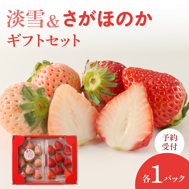 【ふるさと納税】【配送時期が選べる】★予約受付★杉山いちご農園「淡雪（白いちご）」「さがほのか」ギフトセット 12月〜5月中に順次配送／送料無料 さがほのか 白いちご あわゆき 苺 いちご 希少 果物 くだもの フルーツ デザート 旬 食べ比べ ギフト セット