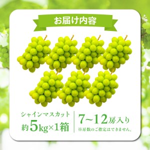 【ふるさと納税】【さぬき讃フルーツ認定】 締め切り間近 シャインマスカット 約5kg シャインマスカット 大粒 贈答用 ギフト お取り寄せ 国産 旬 新鮮 産地直送 高級 ぶどう 葡萄 ブドウ 皮ごと