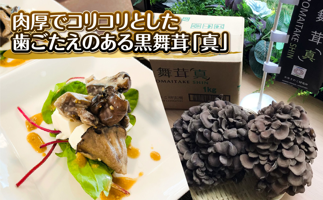 黒舞茸「真」 1kg   HNNAW001